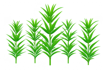 Green plant isolated nature leaf foliage growth tropical botanical garden fresh Lush green plant with pointed leaves isolated transparency background showcasing vibrant foliage and natural growth