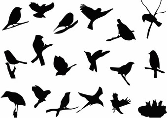 Crow and Raven Silhouettes.eps