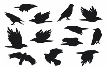 Flying Raven Silhouette Group...