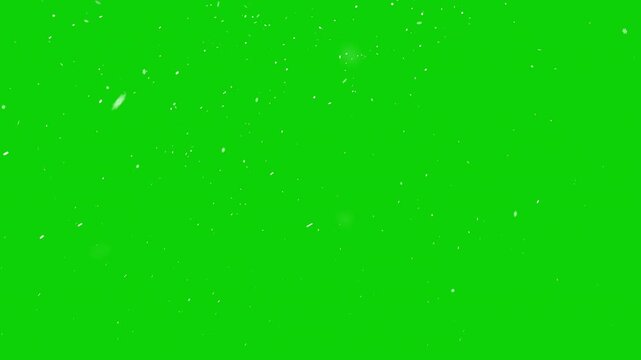 Realistic Snowfall Seamless Animation Loop 4K Overlay in Green Winter Background. Christmas, New Year, Holiday Backdrop. Big and Small Nature Snowflakes Organic Animation.