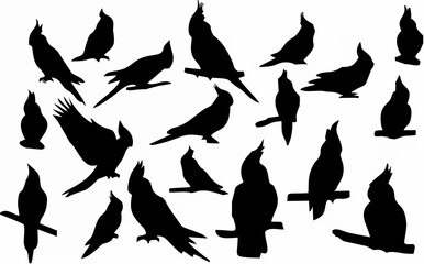 Solid black silhouette of a c...