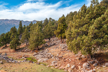 Obraz premium The scenic views of the countryside of Elmalı, Antalya, in the autumn season, with colorful leaves