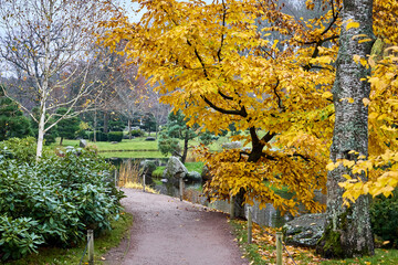 Autumn landscape in the Japanese Garden of Kadriorg Park, Tallinn, Estonia. Peaceful autumn scenery in the Japanese Garden of Kadriorg Park in Tallinn, Estonia. 
