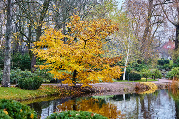 Autumn landscape in the Japanese Garden of Kadriorg Park, Tallinn, Estonia. Peaceful autumn scenery in the Japanese Garden of Kadriorg Park in Tallinn, Estonia. 

