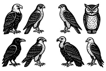 Obraz premium Set of eight detailed black and white birds in vintage style