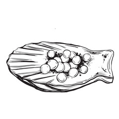 Sketch of caviar on a shell. Hand-drawn ink vector illustration of red caviar. Linear graphic elements for grocery store design, isolated on a white background.