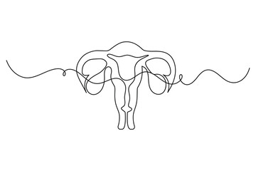 Women uterus continuous one line drawing of fallopian tubes modern style outline vector illustration