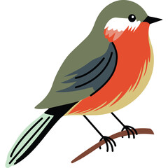 A Charming Small Robin Bird With Red Orange Chest And Green Back Perched On A Twig Against A White Background