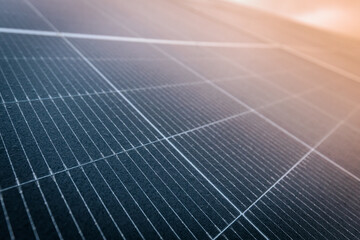 Detailed macro image of a solar panel showing individual photovoltaic cells and fine grid lines, captured in soft natural lighting.