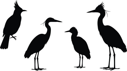 Obraz premium Bird silhouette illustration, heron crane vector, perched bird design, avian wildlife art, flying bird shapes, nature clipart, ornithology study graphic