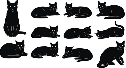 Black cat silhouettes, sitting, standing, stretching, crouching, lying down, feline poses, domestic cats, vector illustration, animal design, pet artwork