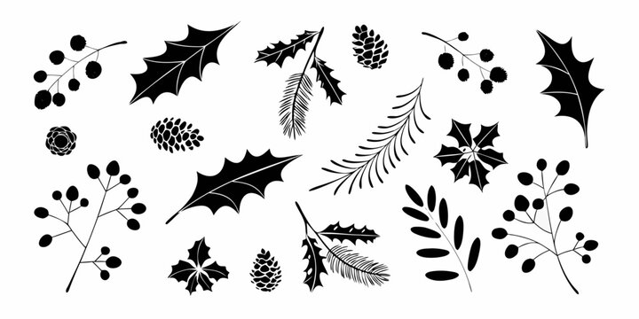 Collection of black silhouette christmas and winter botanical elements including holly pine cones and pine branches