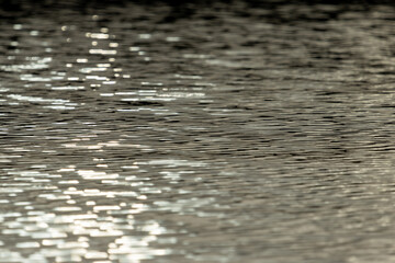 Sunlit Water Ripples