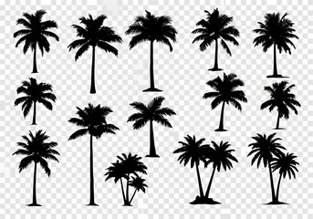 Fototapeta premium Collection of Black Silhouettes of Palm Trees in Various Shapes and Sizes Isolated on a Transparent Background