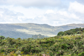 Obraz premium A beautiful panoramic view of the lush hills and diverse vegetation in Purace, Popayán, Cauca, Colombia, showcasing nature's serenity.