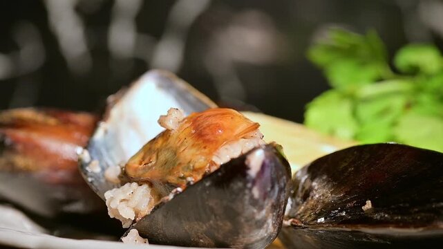 Close-up of Stuffed Mussels on a Plate. Rice Outside the Shell
