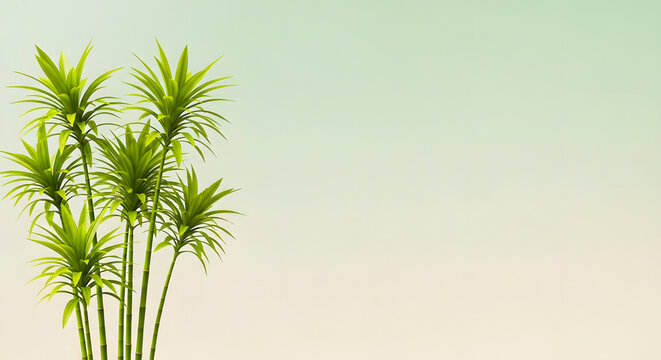 Lush Green Bamboo Stalks with Delicate Leaves in a Serene Gradient Background