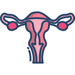 Anatomical Illustration Of A Female Reproductive System Showing Uterus And Fallopian Tubes In Pink And Blue Colors With A Transparent Background.