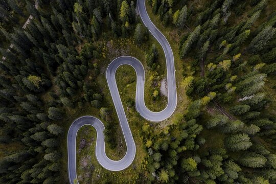 Curvy road, serpentines, pass road, forest, aerial view, Giau Pass, Dolomites, Italy