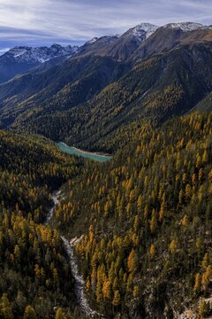 Mountain landscape, wild, untouched, coniferous forest, sunny, riverbed, autumn, larch forest, reservoir, aerial view, Val M&uuml;stair, Swiss National Park, Switzerland