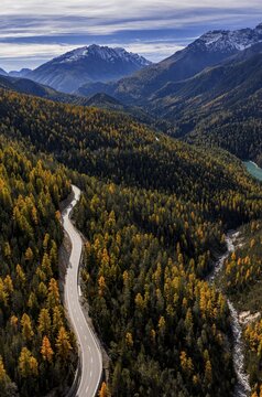 Road, curvy, mountain landscape, wild, unspoiled, coniferous forest, sunny, riverbed, autumn, larch forest, reservoir, aerial view, Val M&uuml;stair, Swiss National Park, Switzerland