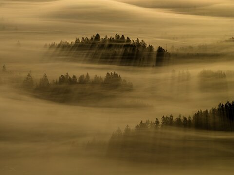 Fog, clouds of fog, trees, back light, sunrise, aerial view, Loisach-Lake Kochel-Moore, Upper Bavaria, Bavaria, Germany