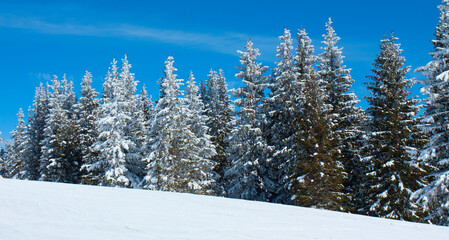 Ski resort Pamporovo in the Rhodopes mountains in Bulgaria