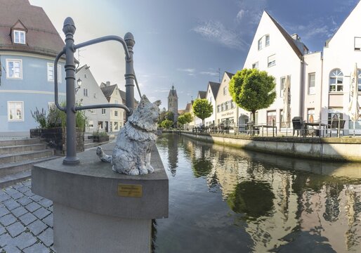 Bronze sculpture by Cornelia Brader: City tomcat Chicco at the city stream, behind it Our Lady's Church, Memmingen, Allgäu, Bavaria, Germany