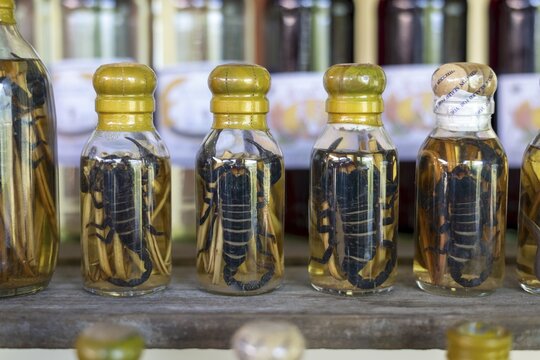 Choum, rice liquor, rice wine with pickled scorpions and snakes for sale, Laos