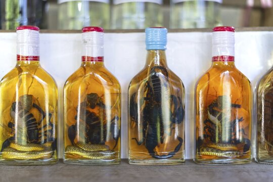 Choum, rice liquor, rice wine with pickled scorpions and snakes for sale, Laos