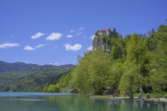 Castle of, Bled, Municipality of Bled, Slovenia