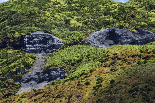 Detailed view of a forested lava slope with exposed thermal spring, Termas da Ferraria, Sao Miguel Island, Azores, Portugal