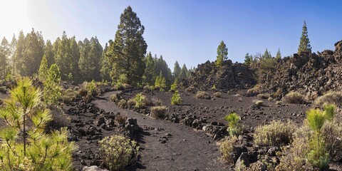 Arena Negras, Teide National Park, Tenerife, Canary Islands, Spain
