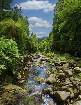 A calm stream flowing through a wooded area with large rocks and dense greenery, the sky is clear with few clouds, Grena Park, Furnas, George Hayes, Lagoa das Furnas, Sao Miguel Island, Azores, Portugal