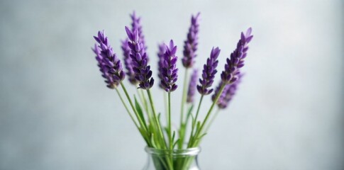 Naklejka premium Delicate lavender sprigs in a clear glass vase, minimalist background, airy feel. A minimalist arrangement of delicate lavender sprigs standing upright in a clear, cylindrical glass vase. The