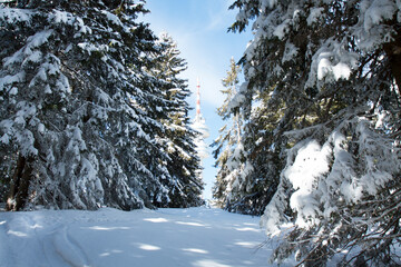 Ski resort Pamporovo in the Rhodopes mountains in Bulgaria
