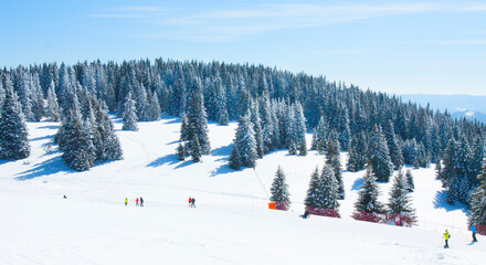 Skiing on ski resort Pamporovo in the Rhodopes mountains in Bulgaria