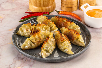 Japanese fried Gyoza stuffed dumplings
