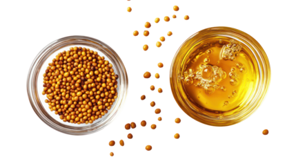 Yellow mustard seeds and mustard oil in a glass bowl with splashes on transparent background