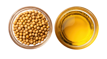 Two glass bowls one with mustard seeds and one with mustard oil isolated on transparent background