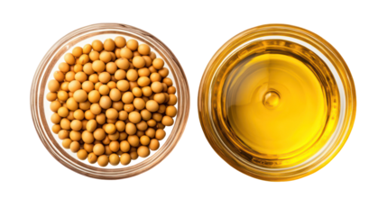 Soybeans and soybean oil in glass bowls isolated on transparent background