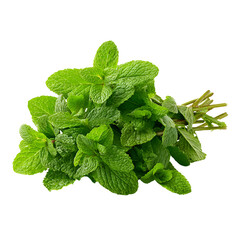 Fresh bunch of vibrant green mint leaves on a white background © MdOmar