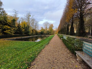 reflection pool in the park
