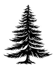 Fototapeta premium PNG A pine tree illustration silhouette nature.