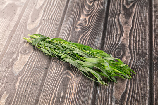 Fresh green estragon aroma stem