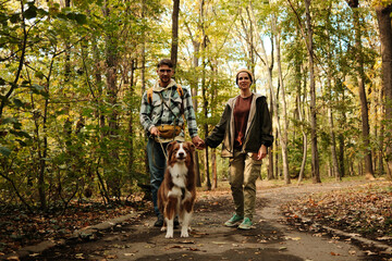 Smiling couple holding hands while walking Australian Shepherd dog along autumn forest path. Concept of love, nature, and recreation