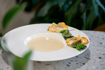 A gourmet creamy soup appetizer is elegantly served in a white bowl, garnished with crispy elements and fresh greens, perfect for fine dining concepts