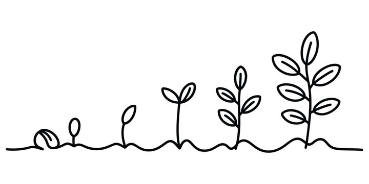 Plant growth cycle progression from seed to mature plant simple