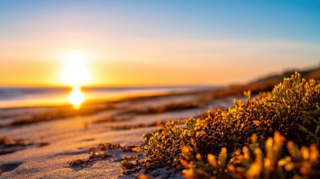 Serene sunset over a tranquil beach, with golden light reflecting on the water and lush vegetation in the foreground - Powered by Adobe