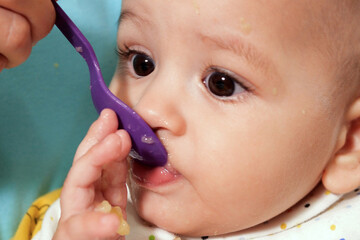 Portrait of little baby boy eating food. Baby with a spoon in feeding chair. Cute baby eating first...
